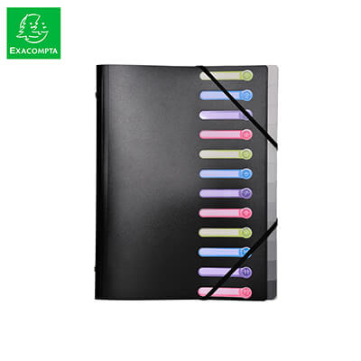 Classificador exacompta PP 12 compartiments