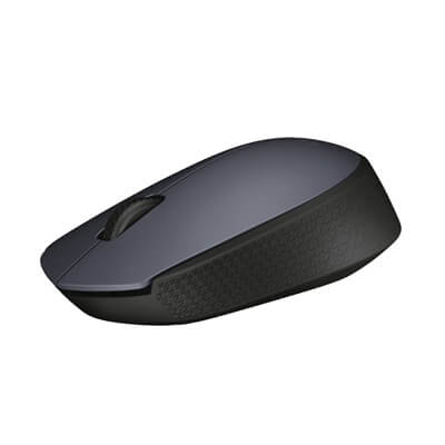 Ratón Logitech wireless M171