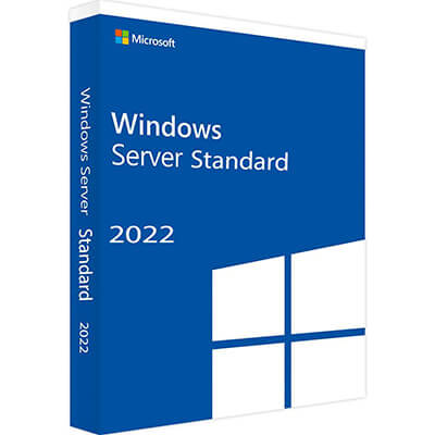 Llicència Microsoft Windows Server 2022 Standar